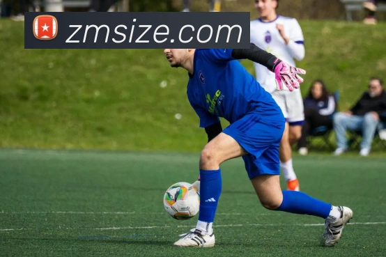 App Interface Preview