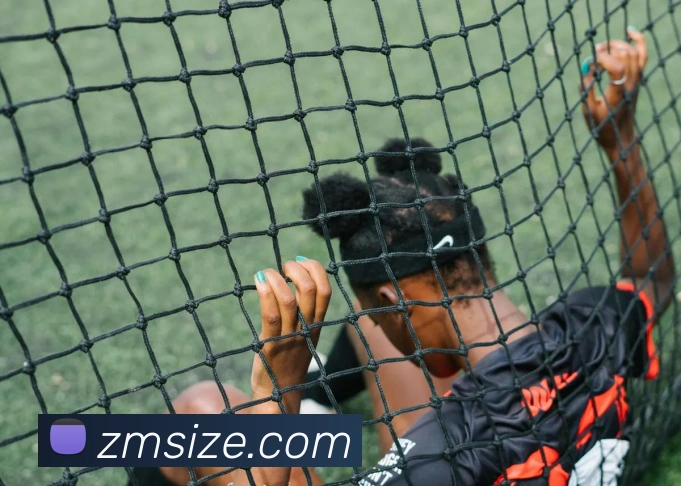 九游网页版APP 封面图